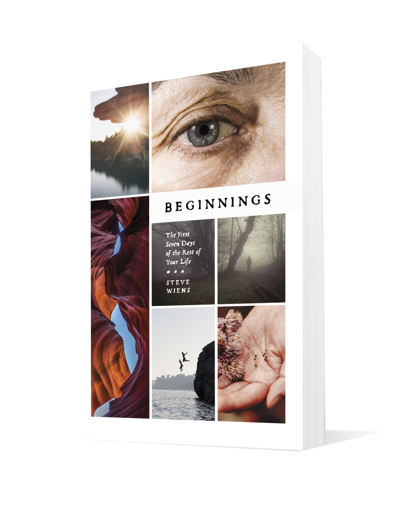 Beginnings_3d