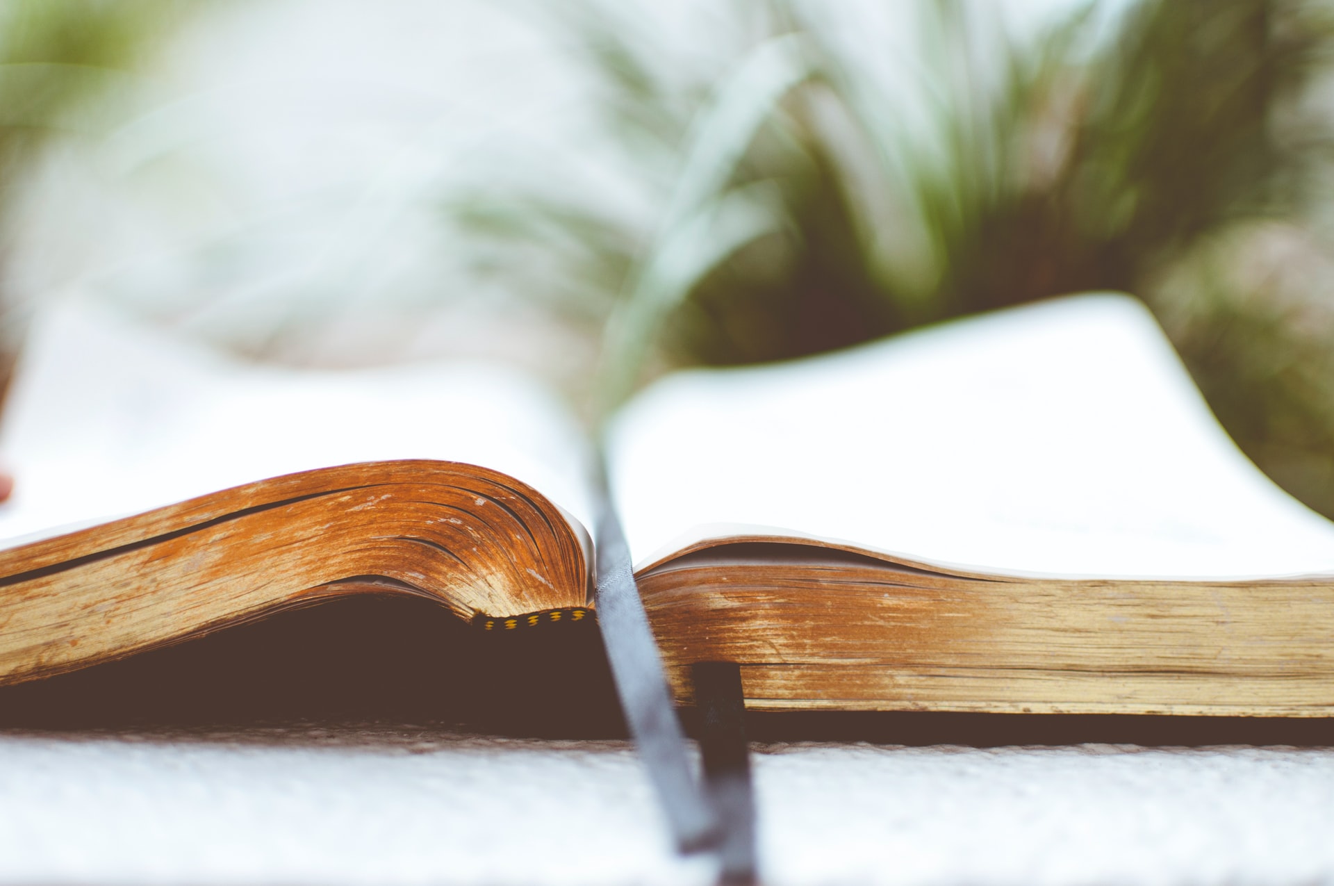 Bible open on table