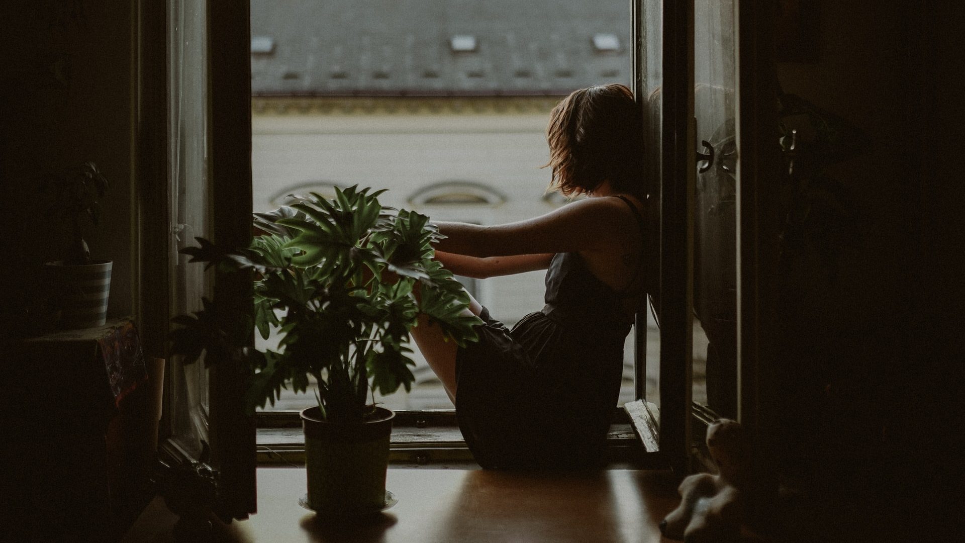 girl looking out a window