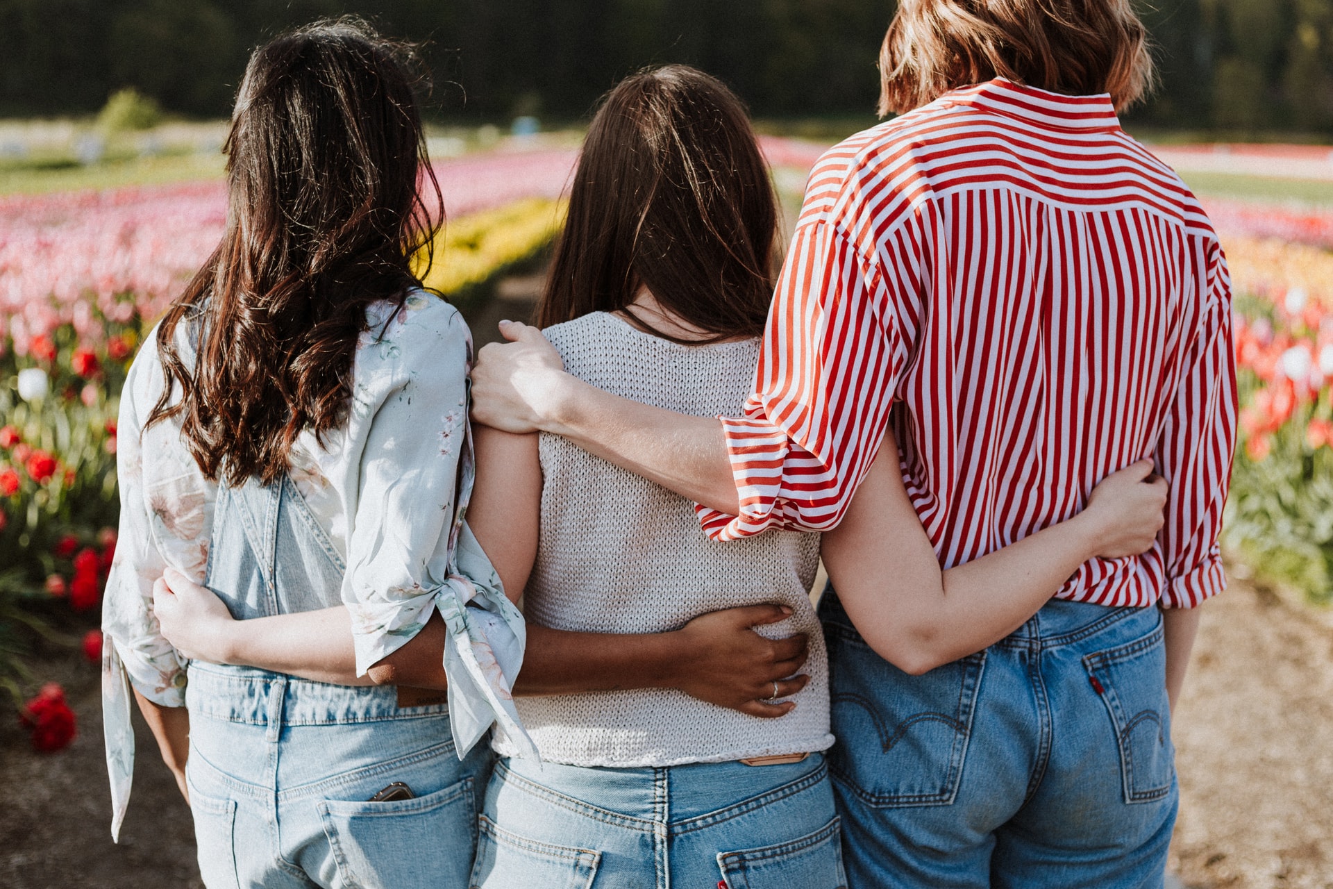 3 friends standing in a field with their arms around each other