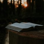 Open Bible in a forest