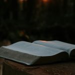 Open Bible in a forest